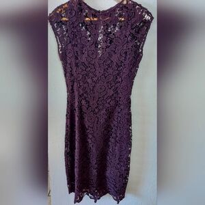 Massimo Dutti Brown Lace Sheath Dress for Weddings